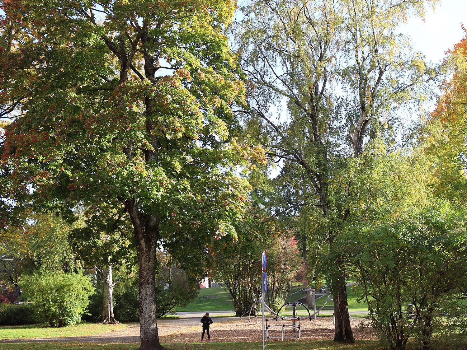 Hostel Louna Parnu Exterior photo